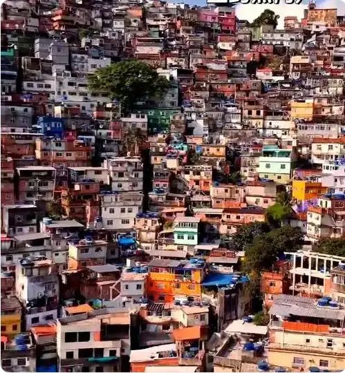 7天神仙咖啡后我再也喝不下星巴克了！开元ky棋牌巴西家庭早餐实录：喝了(图3)