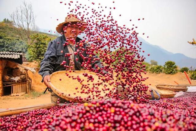 烧出顶流！央媒点名！开元棋牌火了！喷枪(图2)
